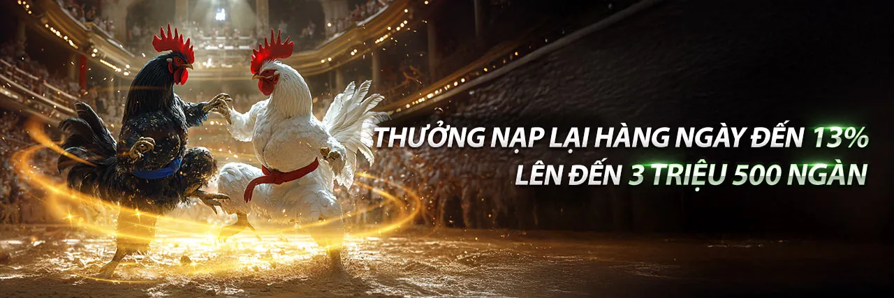 Đá Gà Trực Tuyến 09TR88