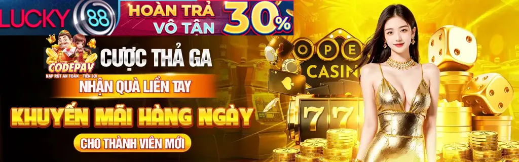Tổng quan về các điều khoản và quy định của tải 09tr88